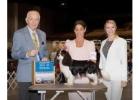 AKC Cavalier King Charles