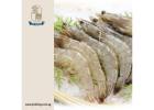 Seafood Wholesale Singapore & Wholesale Seafood Suppliers since 1999