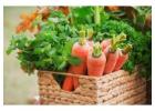 Fresh and Healthy Organic Salad Box from HappyLyfe