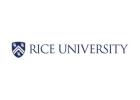 Rice to offer Bachelor of Science in artificial intelligence