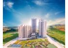  M3M Flora 68 - Residential Property