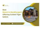 Best Resort in Bandhavgarh Offering Guided Tiger Safaris