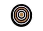 Largest Rugs Manufacturer India, Arif Ansari Bhadohi India, Shayan Ansari Bhadohi India