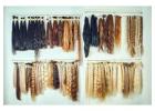 Raw Hair Manufacturers