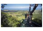 Top Zip Line Tours in Nadi, Fiji: A Must-Do Activity
