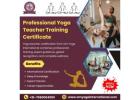 Professional Yoga Teacher Training Certificate | Om Yoga International