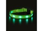 Light Up Your Walks – Waterproof LED Dog Collar