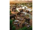Elephant Village in Jaipur Best Place to Visit for Family and Wildlife Lovers