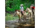 Excursiones para Hacer en Punta Cana | Transferbautista.com
