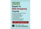 Best Web Designing Course & Training Institute in Rohtak With Placement