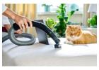 D&G Carpet Cleaning—Your Local Carpet Cleaning Professionals