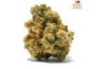 Get Weed Delivery NYC in Affordable Price | NYC Curbside