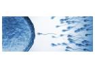 High Success IVF Services in Bangalore 