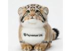 Beyond the Logo: Cuddly Brands, Unforgettable Connections.