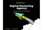 ClickVelo Digital: Trusted Digital Marketing Agency in Jaipur