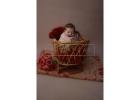 Best Newborn Photographer Fort Worth