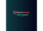 Friggastechsol – Your One-Stop Digital Marketing Partner for Business Growth!