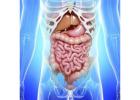 Top Functional GI Disorder Specialist in Ahmedabad – Dr. Jigar Patel