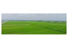 Residential Plots in Vrindavan