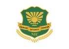 Noida International University Review – Trusted by Students, Proven by Success