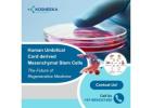 Human Umbilical Cord derived Mesenchymal Stem Cells: The Future of Regenerative Medicine