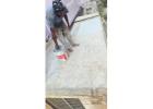 Best Waterproofing Services in Hyderabad | Proofing Experts