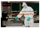 Trusted Ant Treatment Perth Services