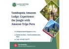 Tambopata Amazon Lodge: Experience the Jungle with Amazon Trips Peru