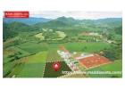 Discover Affordable Hunting Land for Sale in Florida for Investment