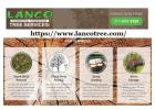 Residential and commercial wood lot cleaning services in Lancaster, PA
