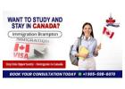Immigration Consultant in Brampton