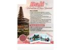 Affordable Bali Tour Packages from Mayur Vihar, Delhi – Sky Trips & Tours Agency
