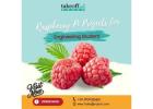 Explore Innovative Raspberry Pi Projects for Engineering Students