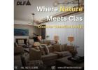 Why DLF Camellias Gurgaon Trumps Mutual Funds