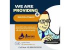 Boost Your Business with Profitable Data Entry Projects