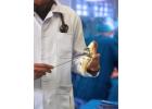 Best Orthopedic Doctor in West Delhi—Dr. Saksham Mittal 