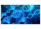 Take AP Biology to the Next Level – Enroll Now