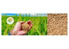 Smart Strategies for Growth in Agricultural Marketing