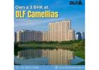 DLF Camellias Gurgaon: The Infrastructure Advantage