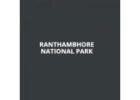 Best Time to Visit Ranthambore – Plan Your Safari Trip