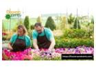 Trusted New Jersey Flower Growers Delivering Fresh Blooms