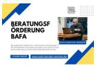 Beratungsförderung Bafa
