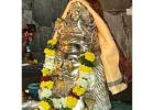 Rahu Ketu Pooja Benefits With Cost  | Trimbakeshwar Nasik