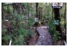 Best Homestay in Nainital for Summer Vacation