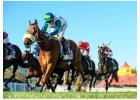 Discover Top Aussie Betting Sites – Safe, Legal & Trusted Platforms