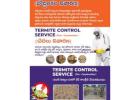Best Flies and Spider Pest Control Services in Kurnool