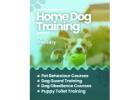 Dog Training Service in Bangalore