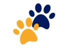 Tired of Cat Grooming Struggles? Discover the Secret to Stress-Free Pet Care!