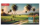 Discover Affordable and Prime Hunting Land for Sale in Florida 