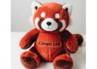 Cuddly & Creative: Your Custom Plushies, Your Way!